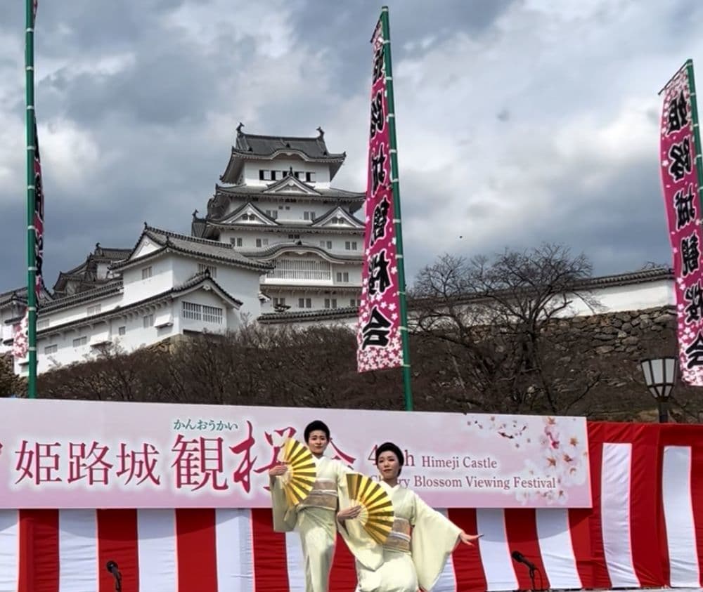 観桜会こまいぬ座